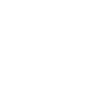 Alternate Text